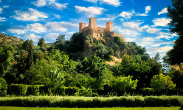 Stone castle on a green hill surrounded by trees