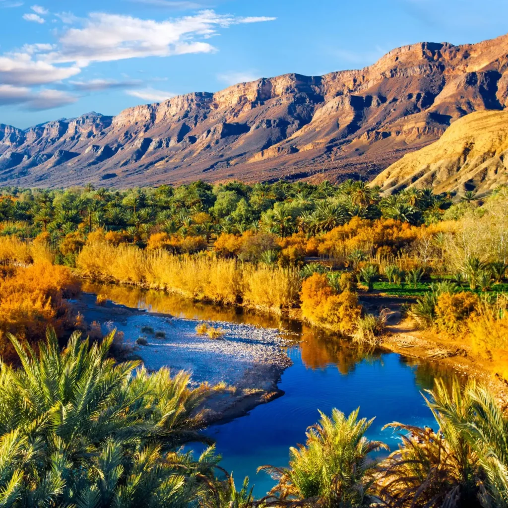 Lush river oasis cutting through arid southern Moroccan terrain