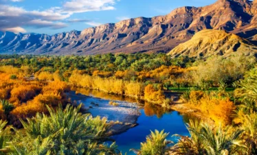 Lush river oasis cutting through arid southern Moroccan terrain