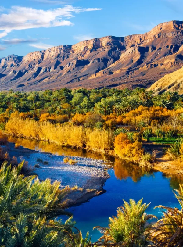 Lush river oasis cutting through arid southern Moroccan terrain