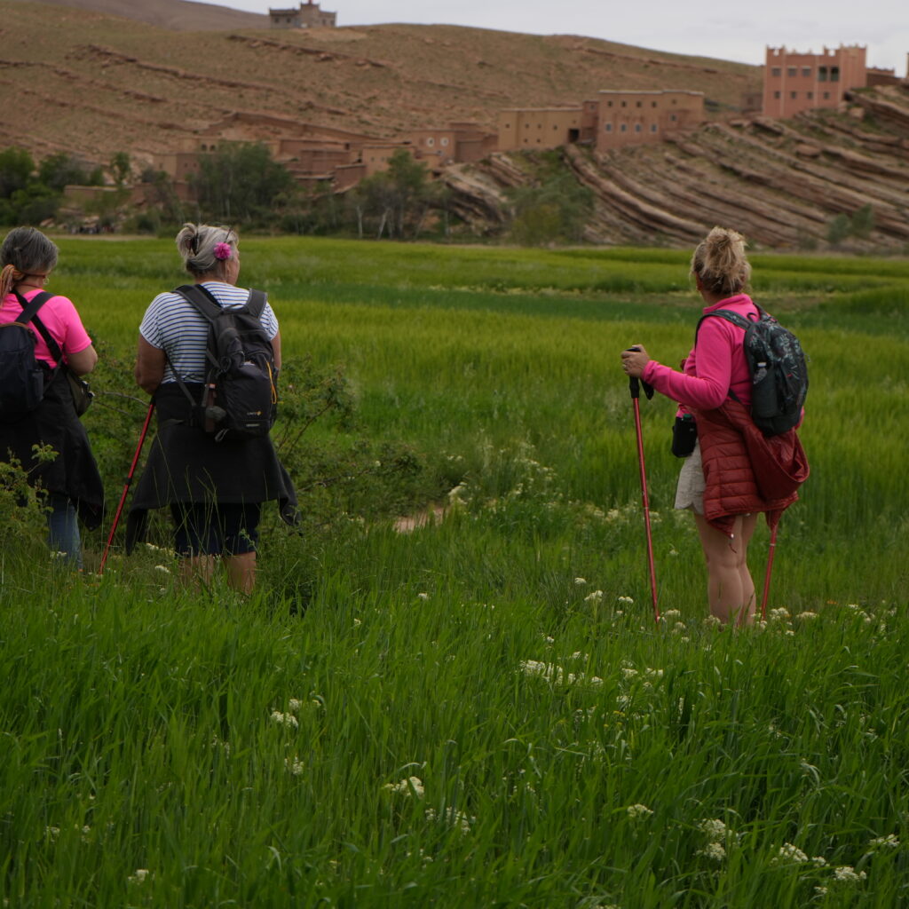 Travelers Exploring a Green Valley in Morocco