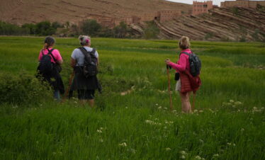 Travelers Exploring a Green Valley in Morocco