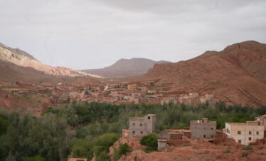 Palm trees and river reflecting golden light in Morocco