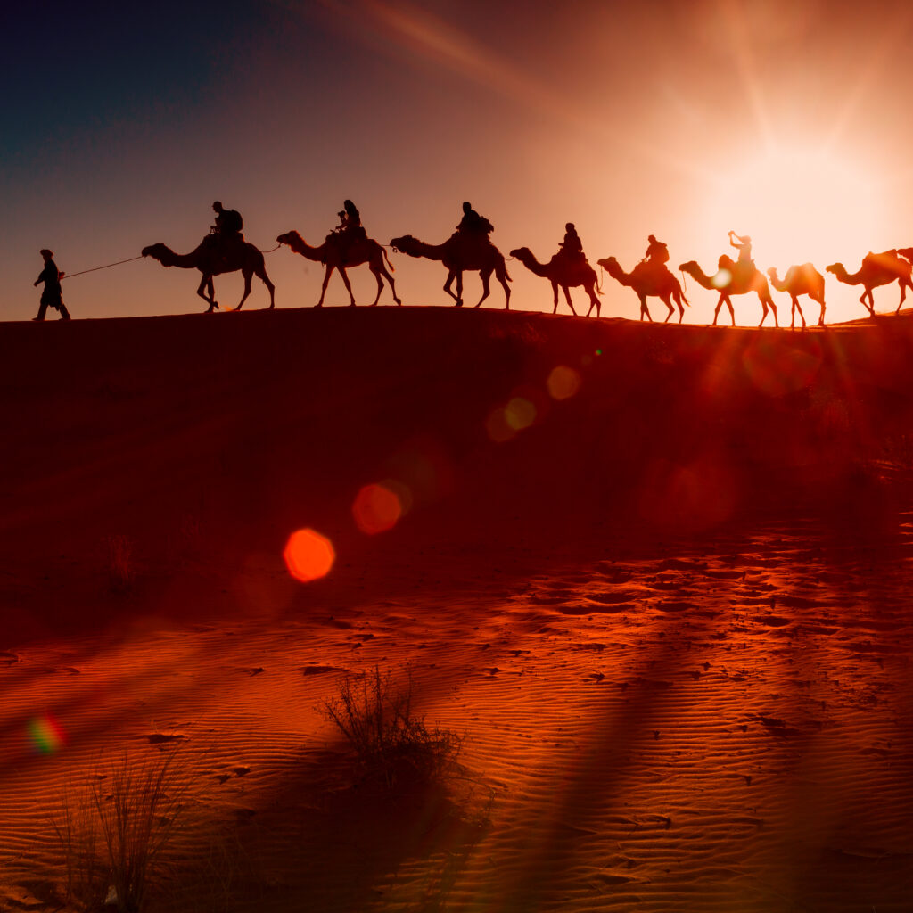 Eco-Friendly Travel in Morocco – Discover Sustainable Adventures with Hayya - Hayya Morocco