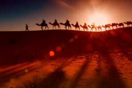 Silhouetted camels crossing Sahara dunes