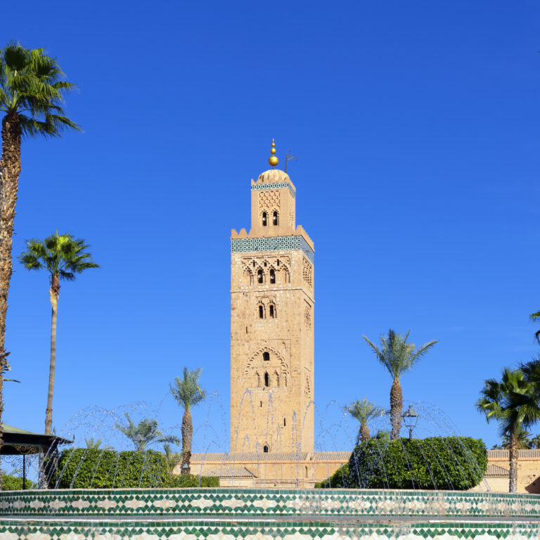 Mosque minaret surrounded by palm trees