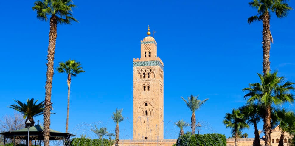 Mosque minaret surrounded by palm trees