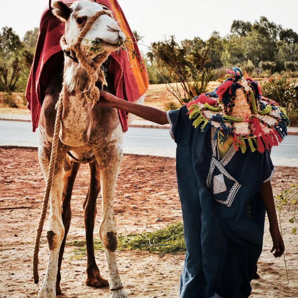 Moroccan History & Heritage – Explore Centuries of Civilizations - Hayya Morocco