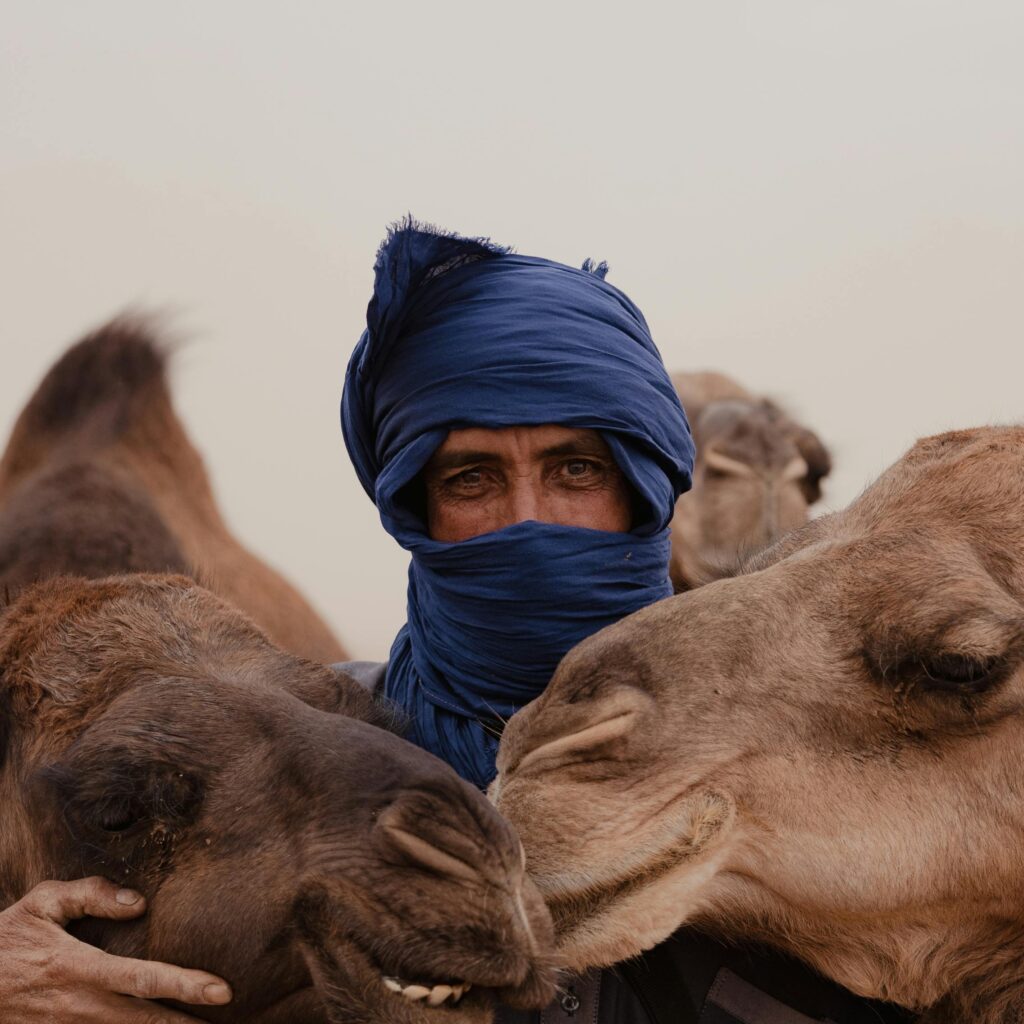 Berber man in blue turban standing beside camels