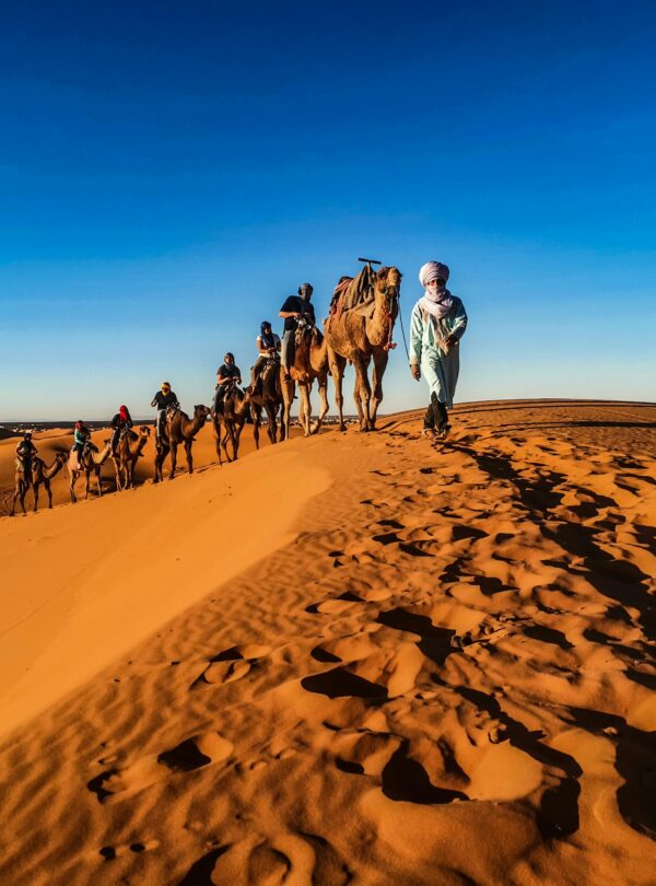 Camel riders journey through golden Sahara sand dunes