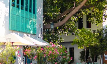 Colorful café with green shutters and floral decor in Morocco