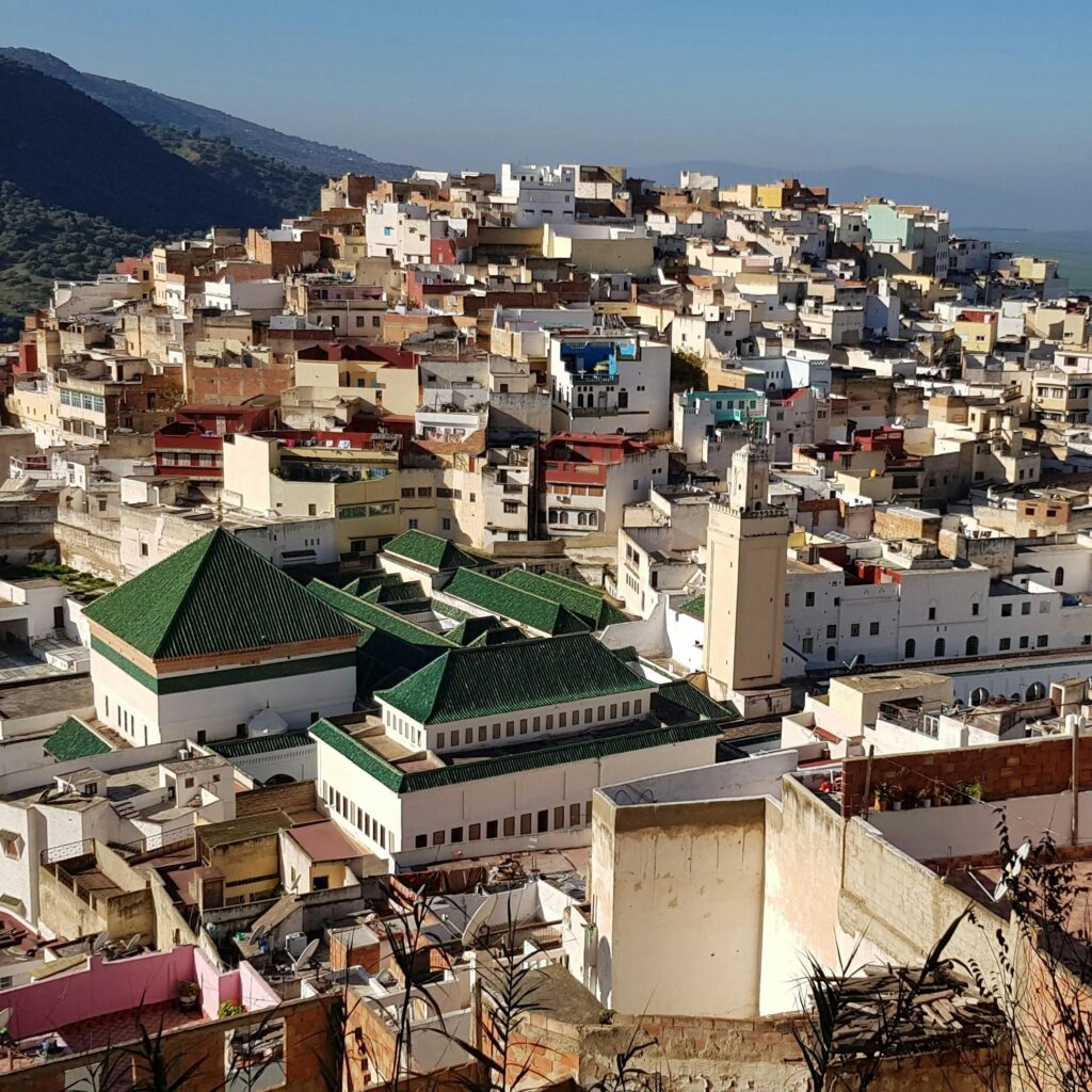 Dense Moroccan cityscape with green rooftops in Fes