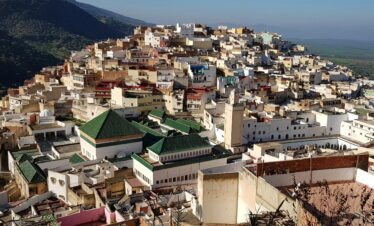 Dense Moroccan cityscape with green rooftops in Fes