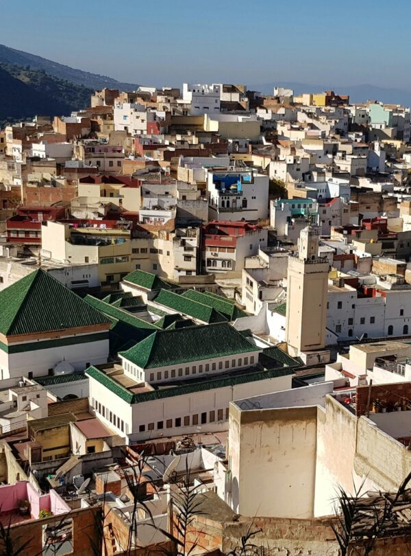 Dense Moroccan cityscape with green rooftops in Fes
