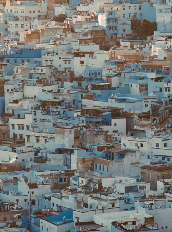 White cat resting in a blue doorway in Chefchaouen