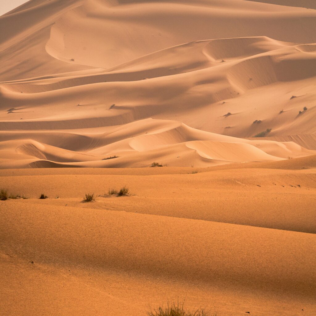 Rippled sand dunes shaped by wind in Sahara Desert