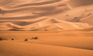 Rippled sand dunes shaped by wind in Sahara Desert