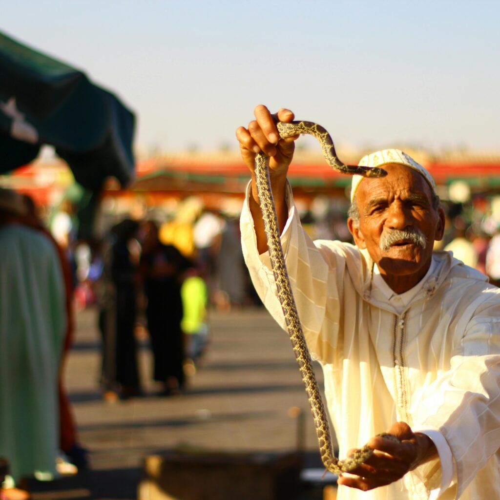Man holding a snake in a traditional Moroccan market
