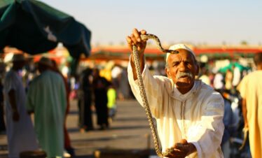 Man holding a snake in a traditional Moroccan market