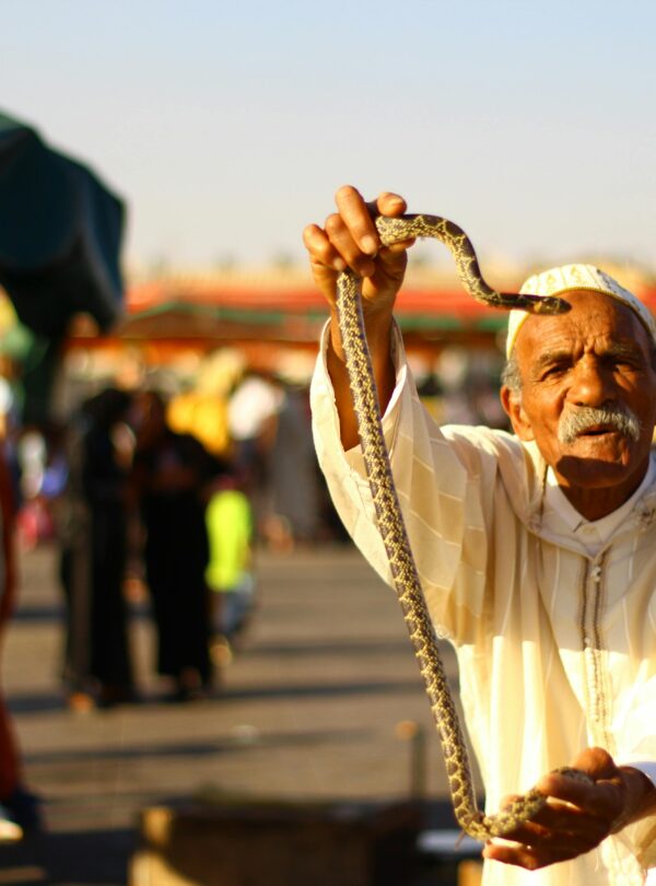 Man holding a snake in a traditional Moroccan market