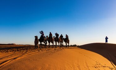 Tourists riding camels across Moroccan sand dunes