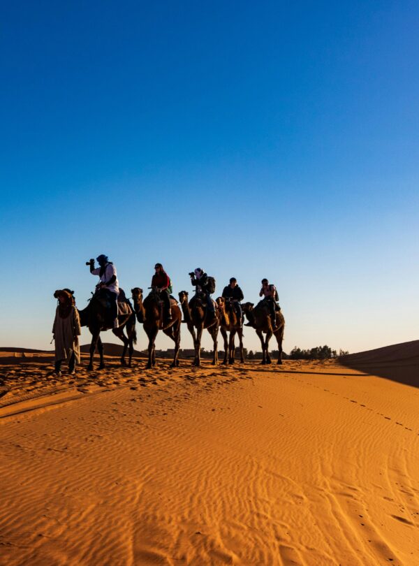 Tourists riding camels across Moroccan sand dunes