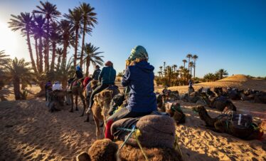 Moroccan camel caravan pausing in a palm-lined oasis
