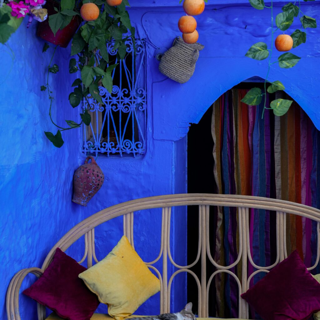 Blue doorway in Chefchaouen decorated with flower pots