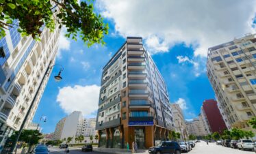 Entrance to Moroccan home with blue steps and potted plants
