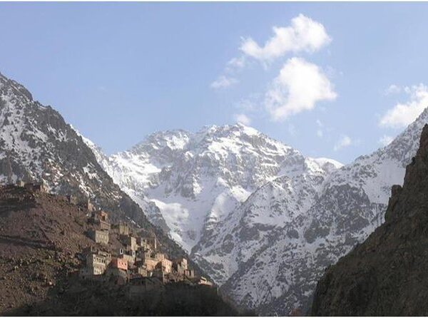 Tree-lined valley with snowy peaks
