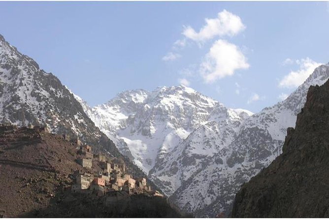 Tree-lined valley with snowy peaks