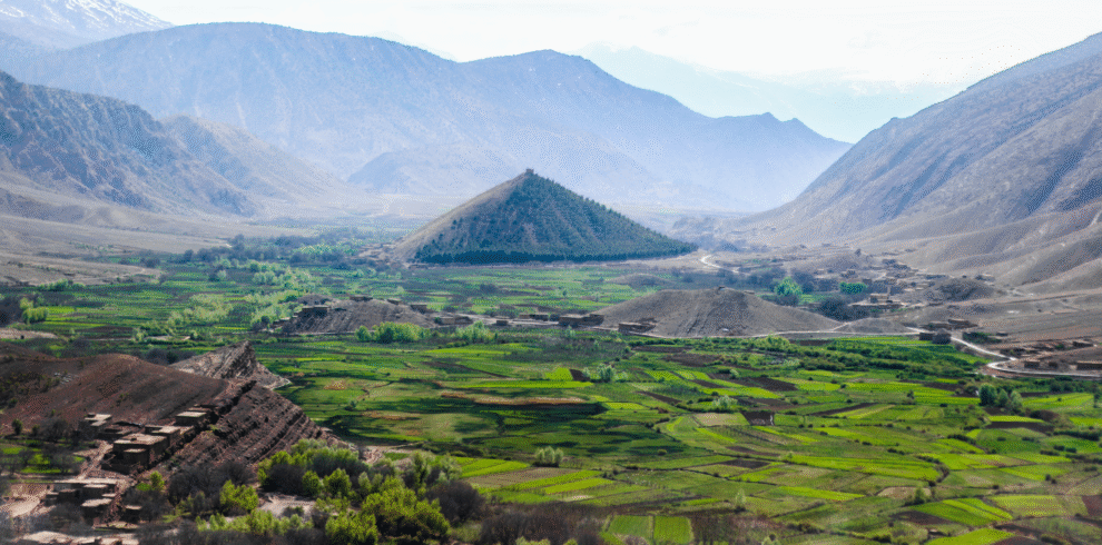 Lush green fields in a Moroccan valley with mountains in the background
