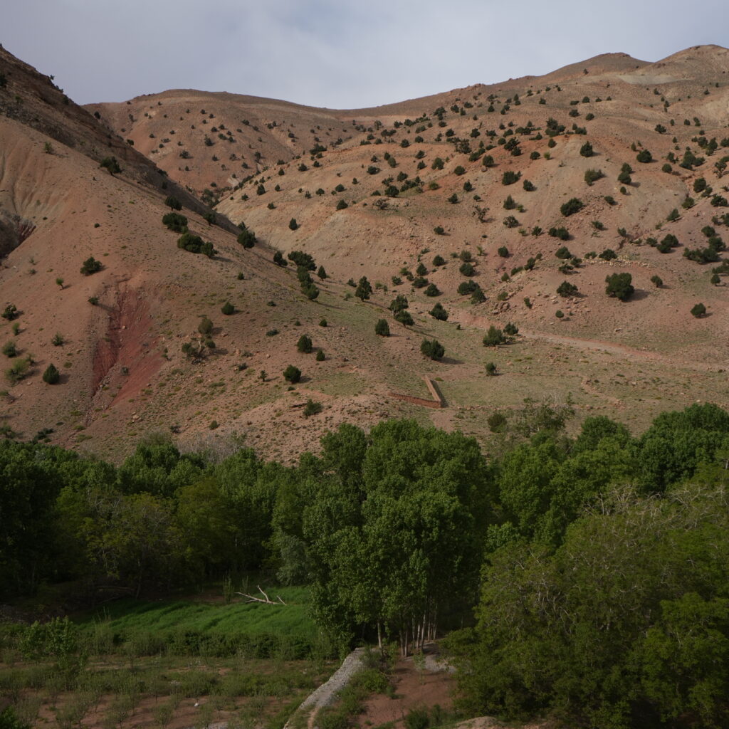 Lush green valley surrounded by rocky hills in Morocco.