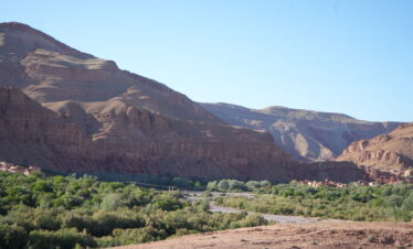 Palm trees and village near water