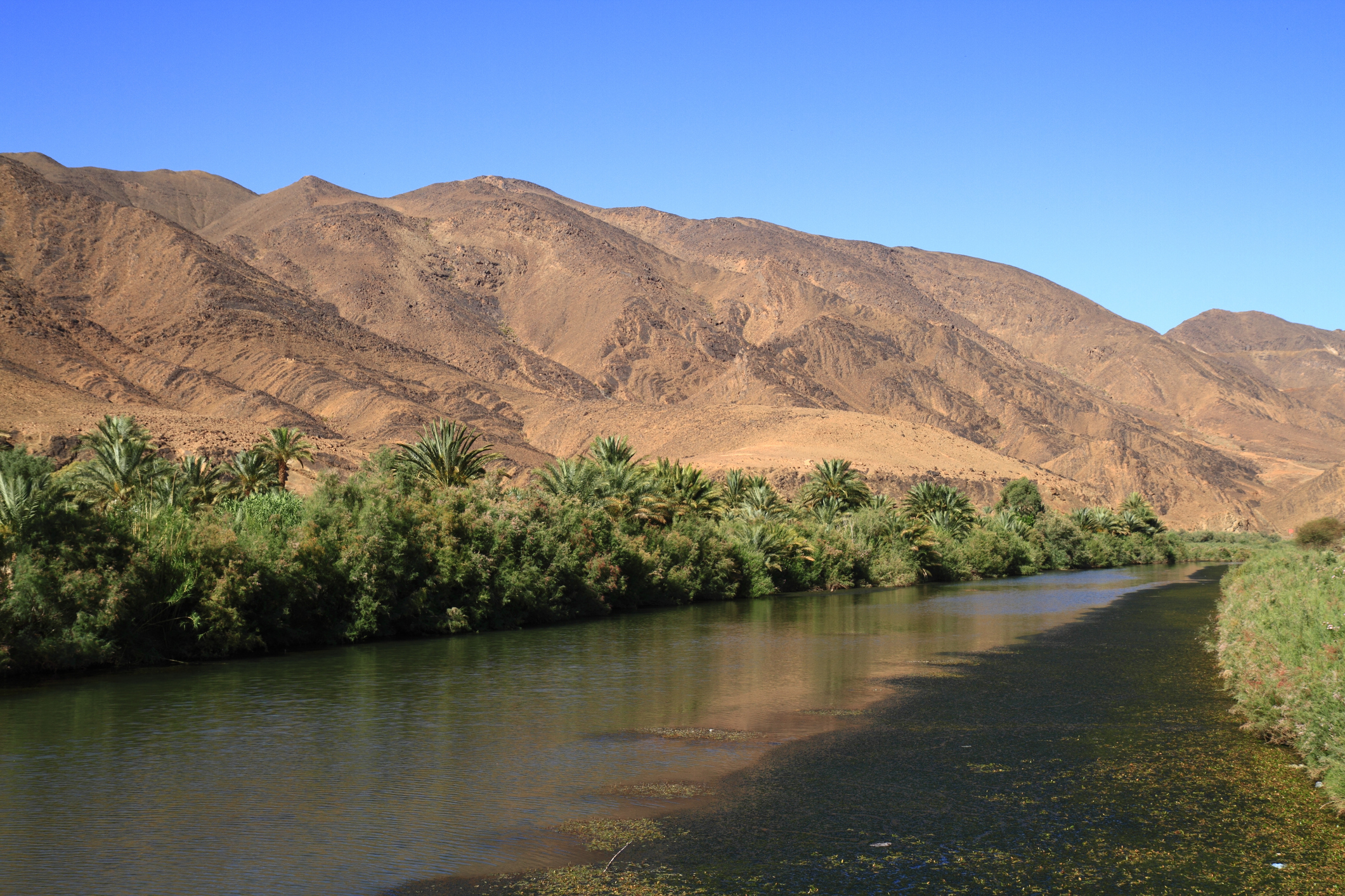 Eco-Friendly Travel in Morocco – Discover Sustainable Adventures with Hayya - Hayya Morocco