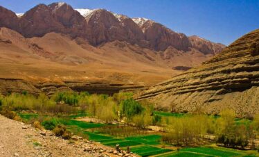 Lush green valley with palm trees and river in southern Morocco.