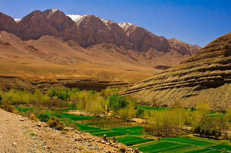 Lush green valley with palm trees and river in southern Morocco.