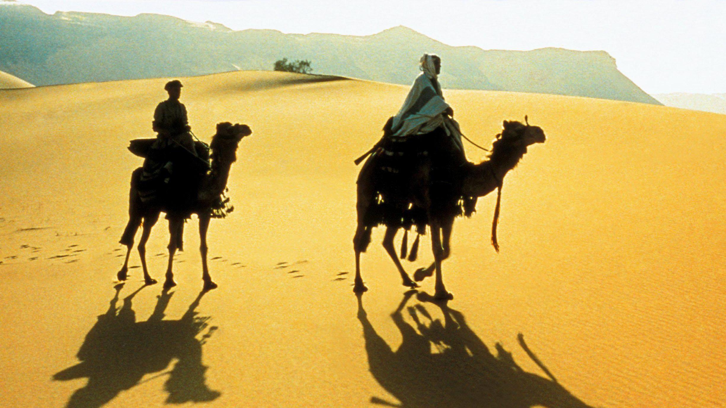 Lawrence of Arabia Filming Locations in Morocco – Explore the Iconic Desert Scenes - Hayya Morocco