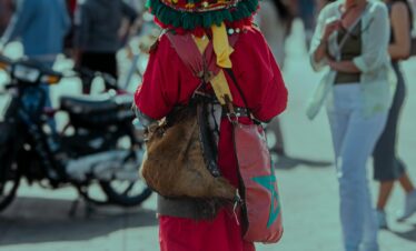 Resort surrounded by palm trees and gardens