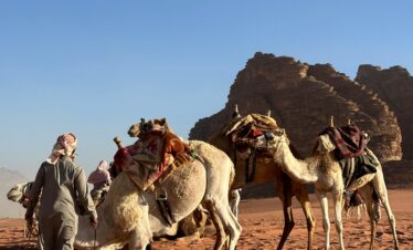 Group of camels and tourists by rocky terrain
