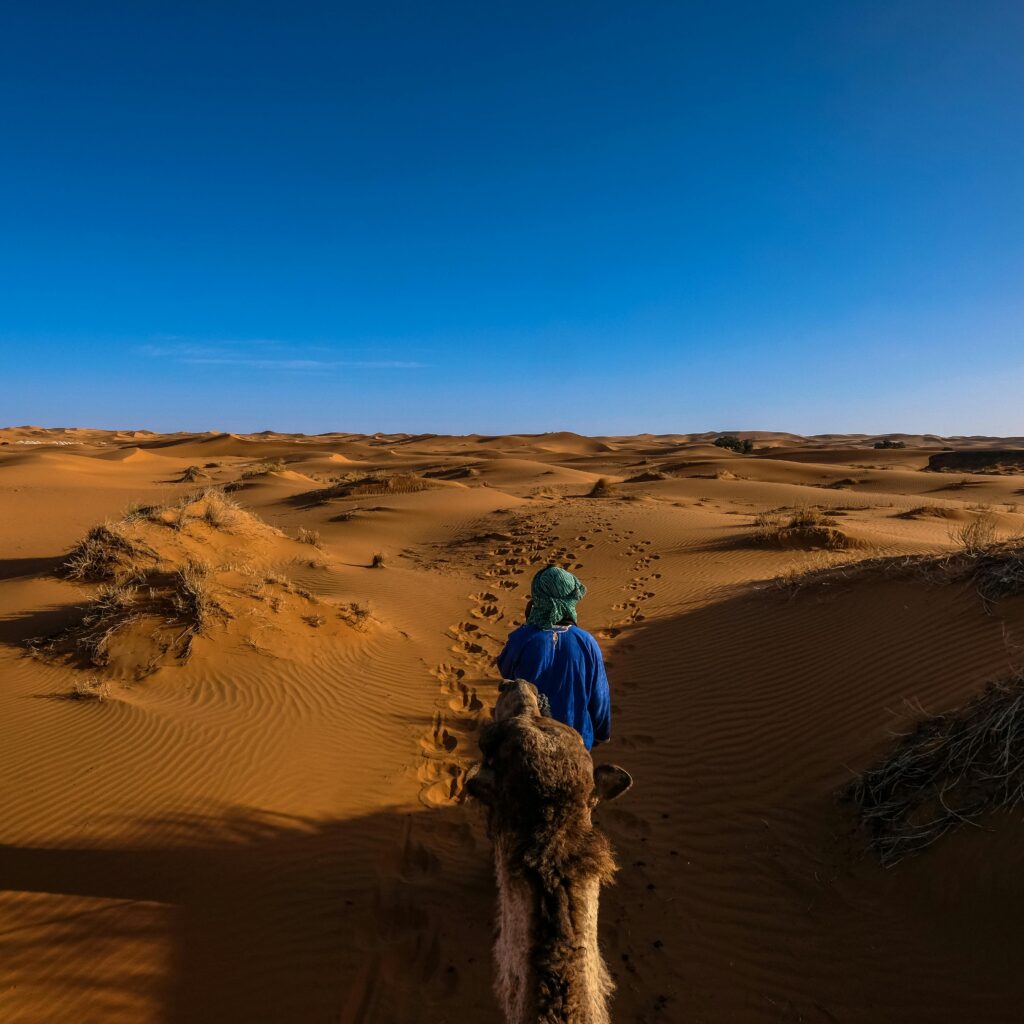 Nomad walking with camel