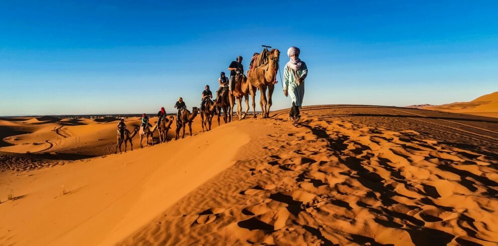 Group of camels and travelers on a dune