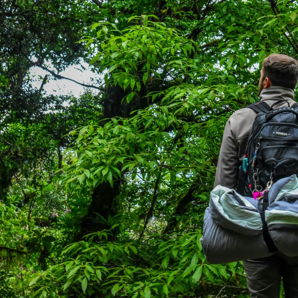 Backpacker standing in a dense green forest with mountains.
