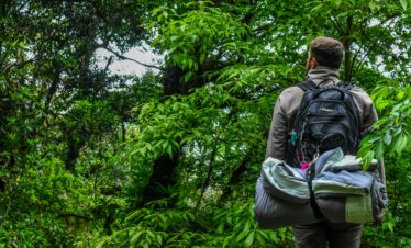 Backpacker standing in a dense green forest with mountains.
