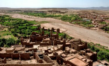 Sand dunes and palm trees