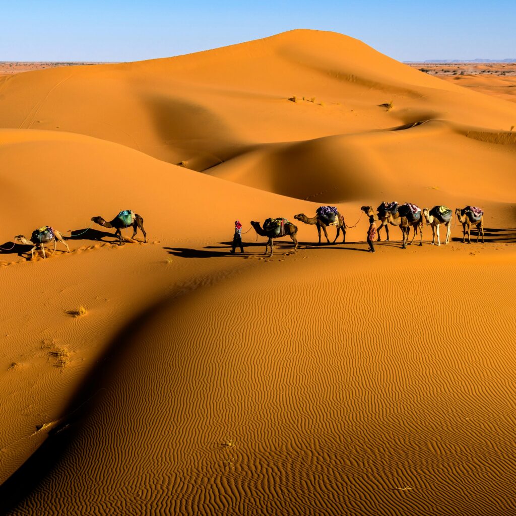 Why Visit Morocco? Top Reasons This Adventure Destination Has It All - Hayya Morocco