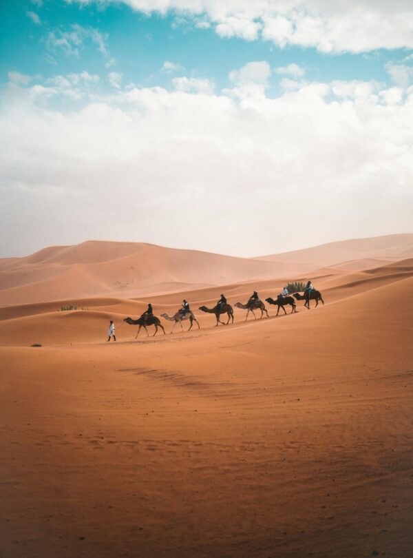 Young traveler posing beside a camel