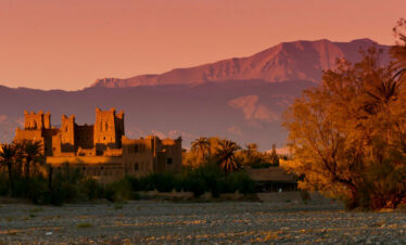 Palm-dotted desert valley at dusk