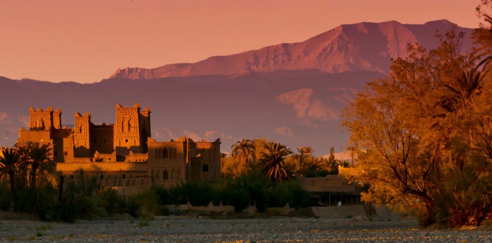 Palm-dotted desert valley at dusk