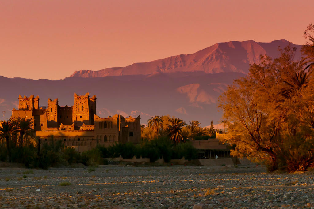 Palm-dotted desert valley at dusk